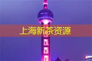 将茶的品味与当代的创新结合 将茶的品味与当代的创新结合